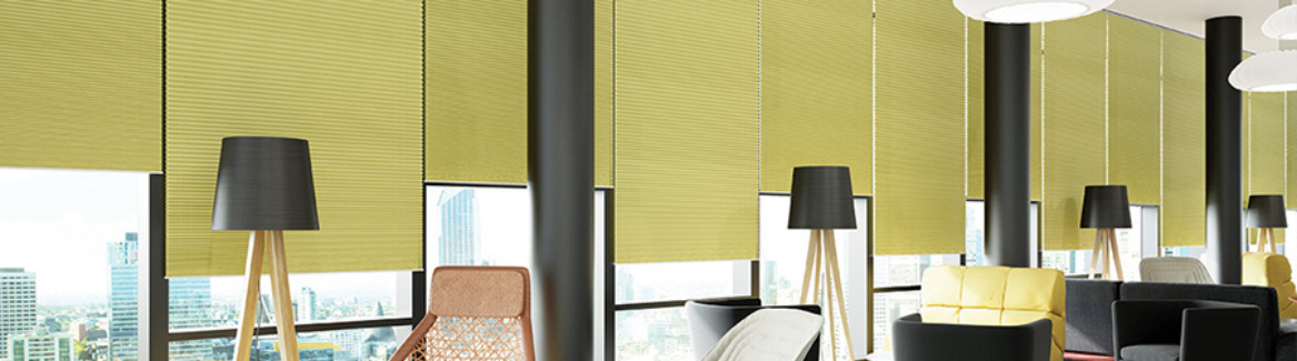 Office Pleated Blinds