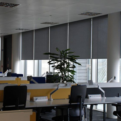 Anti-Glare Office Roller Blinds