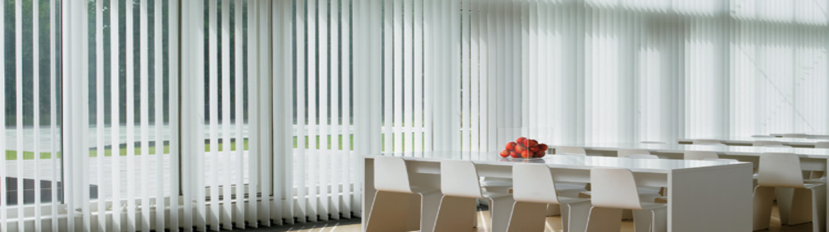 Office Vertical Blinds